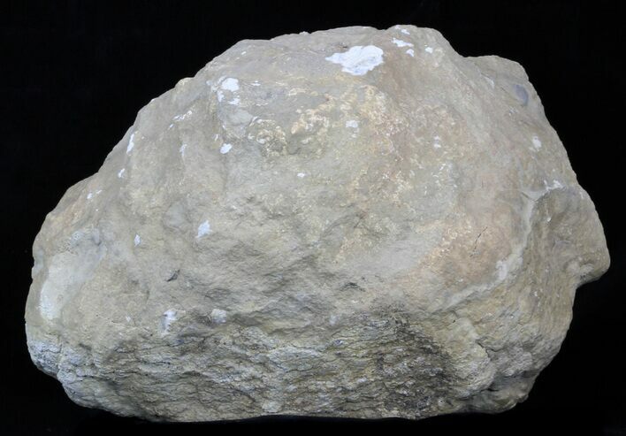 Large, Whole/Unbroken Keokuk Geode #33962